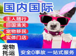 潮汕航空货运国际宠物托运 【国